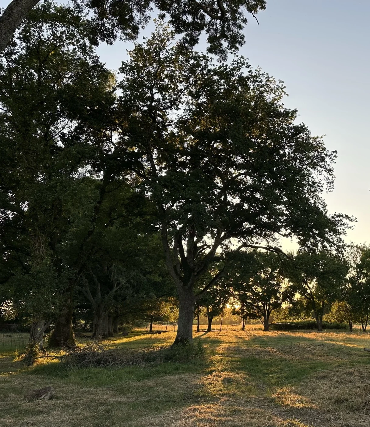 Le cadre enchanteur de la Ferme de Bellevue à Chavagnes-en-Paillers — lieu des Feux de l'Été Médit'A
